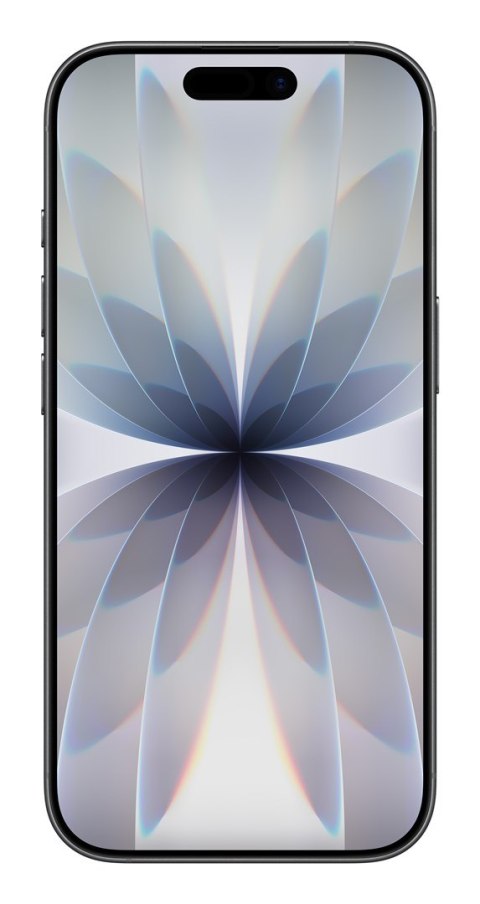 Apple iPhone 17 16 cm (6.3") Dual SIM iOS 26 5G USB Type-C 256 GB Czarny