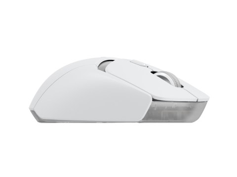 Logitech G G309 myszka Gaming po prawej RF Wireless + Bluetooth Optyczny 2560 DPI