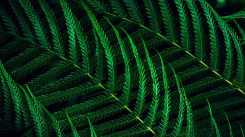 Philips 5000 series 24B2G5200/00 monitor komputerowy 60,5 cm (23.8") 1920 x 1080 px Full HD LCD Antracyt