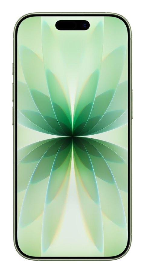 Apple iPhone 17 16 cm (6.3") Dual SIM iOS 26 5G USB Type-C 256 GB Szałwia