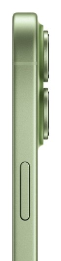 Apple iPhone 17 16 cm (6.3") Dual SIM iOS 26 5G USB Type-C 256 GB Szałwia