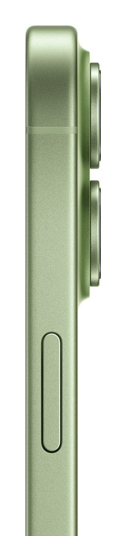 Apple iPhone 17 16 cm (6.3") Dual SIM iOS 26 5G USB Type-C 256 GB Szałwia
