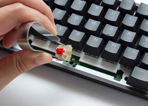 Ducky One 3 Yellow TKL klawiatura Gaming USB Niemiecki Żółty