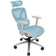 Ergonomiczny fotel biurowy ThunderX3 XTC - biały/niebieski
