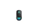 CHERRY XTRFY M42 RGB myszka Gaming Oburęczny RF Wireless + USB Type-C Optyczny 19000 DPI