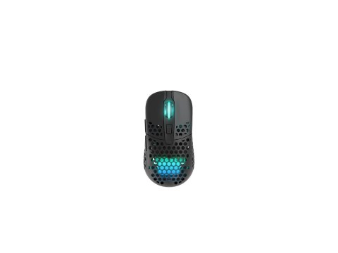CHERRY XTRFY M42 RGB myszka Gaming Oburęczny RF Wireless + USB Type-C Optyczny 19000 DPI