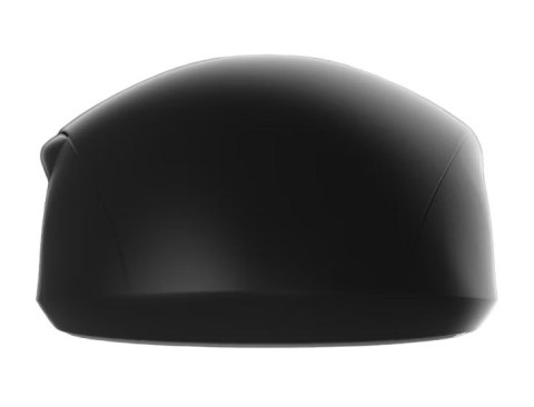 Endgame Gear XM2we myszka Gaming Po prawej stronie RF Wireless + USB Type-C Optyczny 19000 DPI