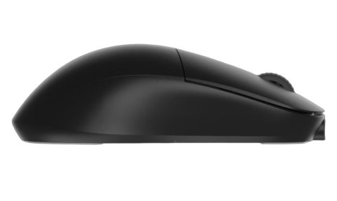Endgame Gear XM2we myszka Gaming Po prawej stronie RF Wireless + USB Type-C Optyczny 19000 DPI