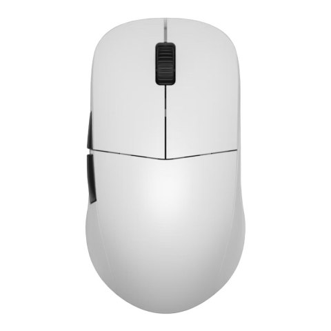 Endgame Gear XM2we myszka Gaming Po prawej stronie RF Wireless + USB Type-C Optyczny 19000 DPI