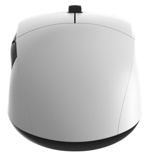Endgame Gear XM2we myszka Gaming Po prawej stronie RF Wireless + USB Type-C Optyczny 19000 DPI