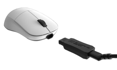 Endgame Gear XM2we myszka Gaming Po prawej stronie RF Wireless + USB Type-C Optyczny 19000 DPI