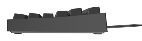 GENESIS Thor 404 TKL klawiatura Gaming USB QWERTY Amerykański międzynarodowy Czarny