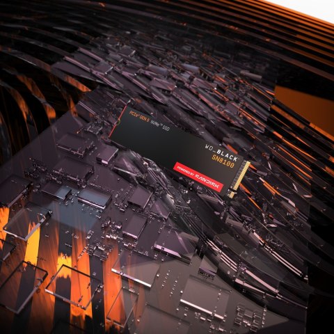 SSD WD Black SN8100 w/o HS 1TB WDS100T1X0M