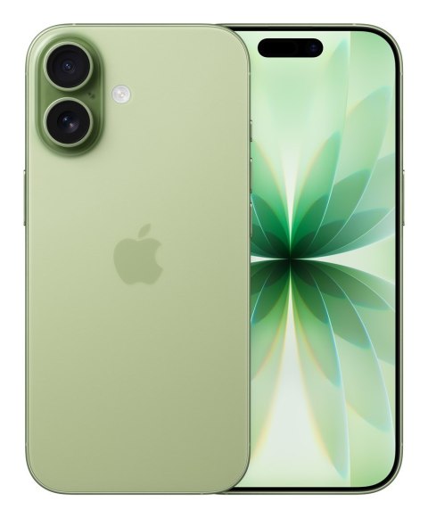 Apple iPhone 17 16 cm (6.3") Dual SIM iOS 26 5G USB Type-C 512 GB Szałwia
