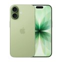Apple iPhone 17 16 cm (6.3") Dual SIM iOS 26 5G USB Type-C 512 GB Szałwia