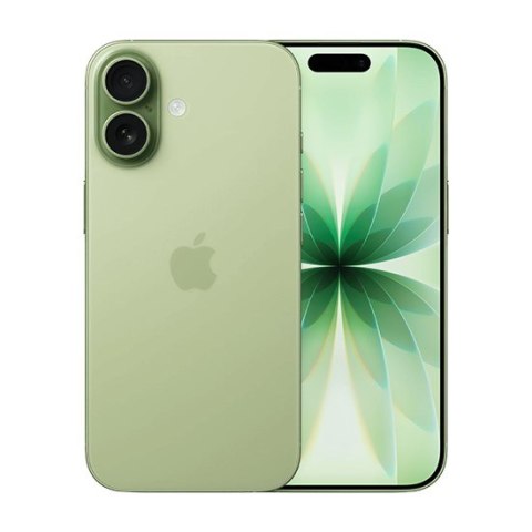 Apple iPhone 17 16 cm (6.3") Dual SIM iOS 26 5G USB Type-C 512 GB Szałwia