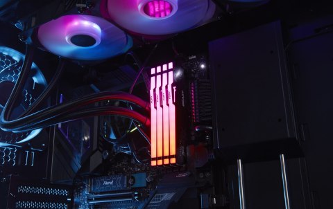 Kingston FURY DDR5 16GB (2x8GB) 5600MHz CL36 Beast Black RGB EXPO