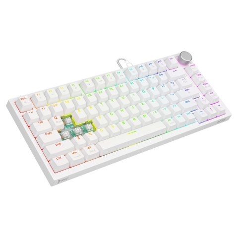 SAVIO KLAWIATURA MECHANICZNA ASTRAL WHITE OUTEMU WHITE JADE RGB