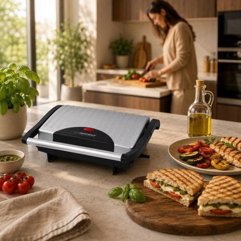 Grill elektryczny Esperanza Pizzaiola EKG005 (stołowy-zamknięty; 750W; kolor inox)