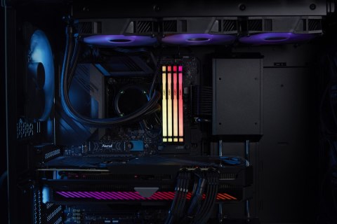 KINGSTON DDR5 16GB 5600MT/s CL36 DIMM FURY Beast RGB EXPO