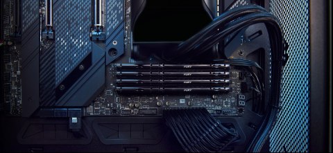 KINGSTON DDR5 32GB 5600MT/s CL40 DIMM FURY Beast Black