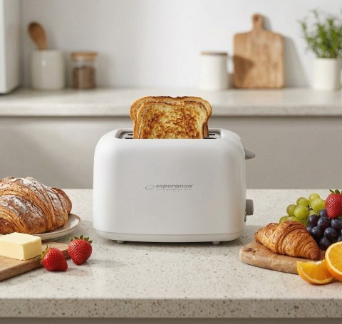 Toster Esperanza Ciabatta EKT002 (600W; kolor biały)